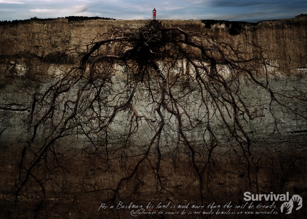 survival_roots_bushman